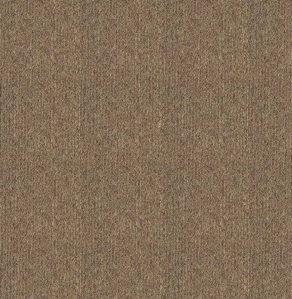 standardst09.jpg